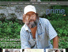 Tablet Screenshot of primeontheweb.com